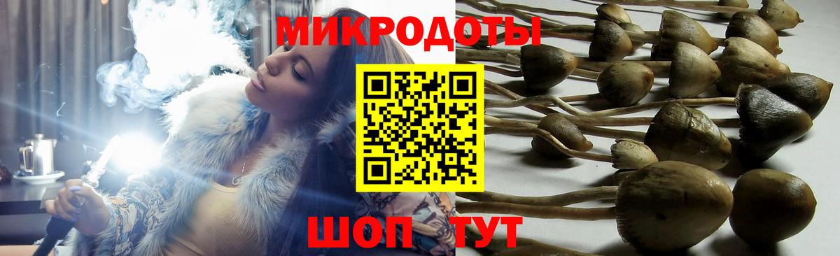 Мыски  Псилоцибиновые грибы Magic Shrooms  Вход с VPN 